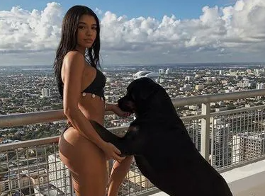 高清壁纸
